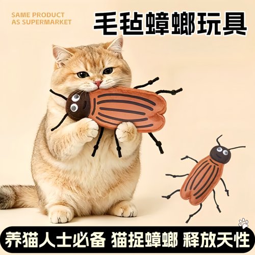 猫薄荷蟑螂猫咪玩具自嗨解闷神器