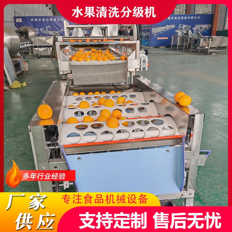 商用柑橘清洗打蜡机甜橙清洗打蜡分级流水线柚子清洗风干选果线