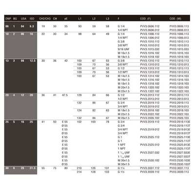 供应意大利DNP螺纹连接快速接头 PVV3 AG (螺纹式连接)耐压40MPa