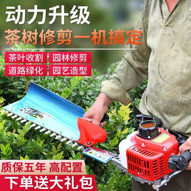 二冲程四冲程汽油绿篱机茶树修枝机大功率重修园林粗枝绿化修剪机