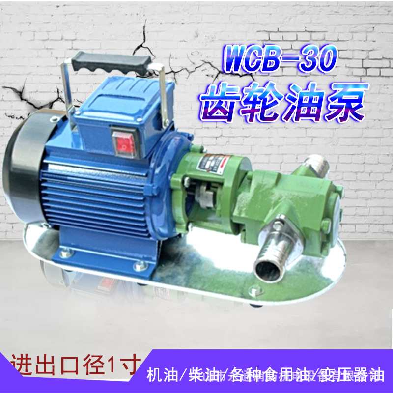 WCB-75润滑机齿轮油胶水油漆输送设备手提式电动油泵单相220v1寸