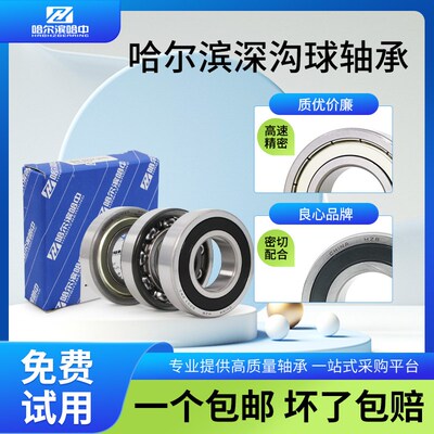 哈尔滨轴承大全6413 6414 6415 6416 6417 6418 6420 2RS ZZ 高速