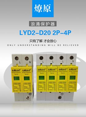 浙江燎原 浪涌保护器 LYD2-D20 10-20KA 2P 电涌保护器 防雷器
