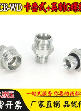 卡套过渡接头1CB系列-WD英制G螺纹密封高压直接12/18轻型永华标准