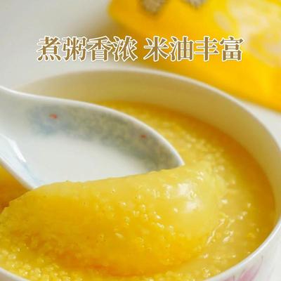 正宗黄小米粥小黄米新米5
