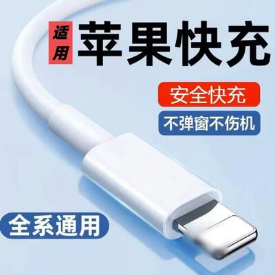 适用苹果系列快充数据线