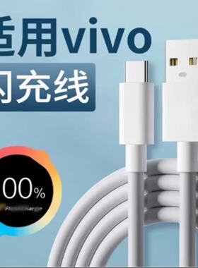 适用vivoS13数据线超级闪充vivoS13Pro/S13充电线6A爱酷VIVOs13/s13pro手机数据线充电线双type-c口加长2米线