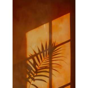 光影植物客厅中古风装饰画卧室床头挂画餐厅玄关入户门走廊壁画