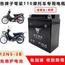 摩托车干电瓶隆鑫LX110天禧 劲隆JL110乐驰乐风弯梁12 天骄 福悦