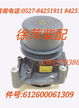 612600061309水泵61506SB潍坊斯太尔水泵WP10水泵612600061228