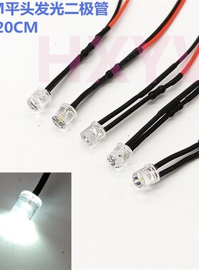 5MM发光二极管LED平头灯珠 3V12V24V220VLED带线模型玩具汽车改装