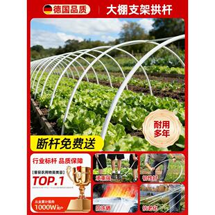 种菜大棚架玻璃纤维拱棚支架大棚拱杆骨架家用简易农用庭院种蔬菜