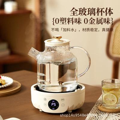 2025新款养生壶能煮一体家用多功小型2025新款办公室纯玻璃花炖茶