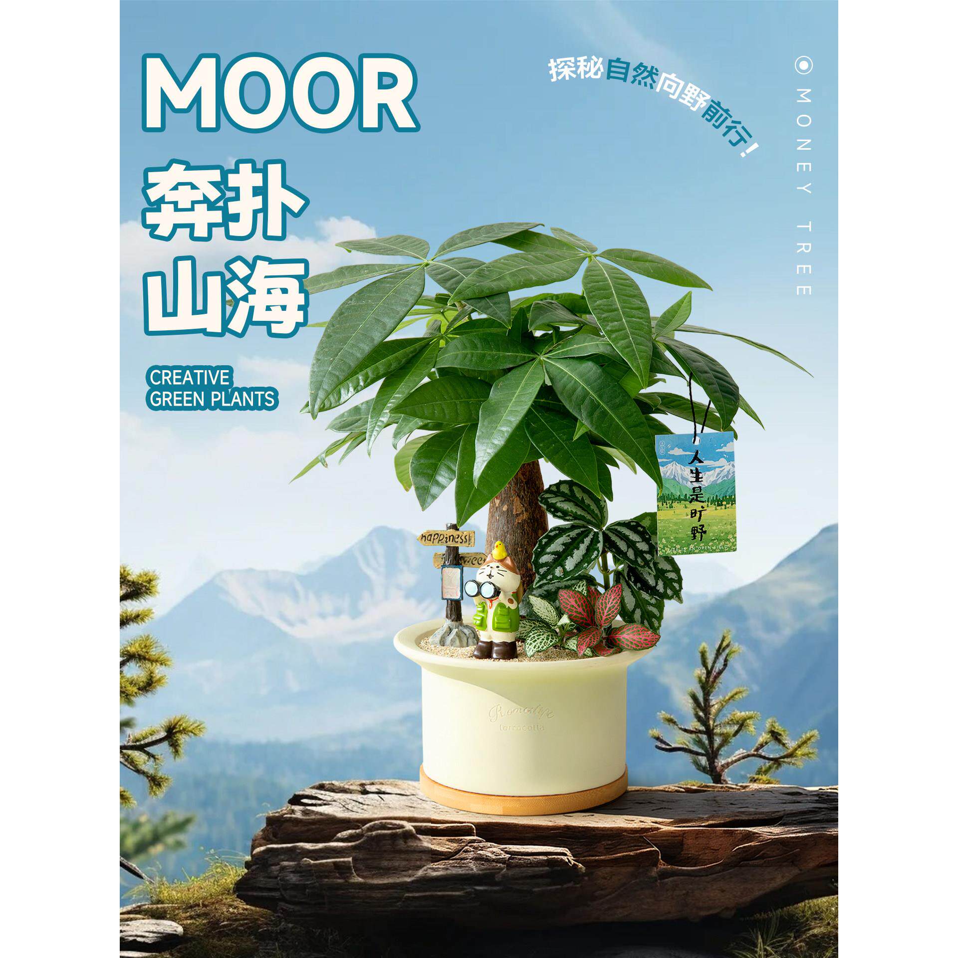 发财树盆栽办公室工位桌面创意景观植物客厅室内绿植鸭脚木盆景