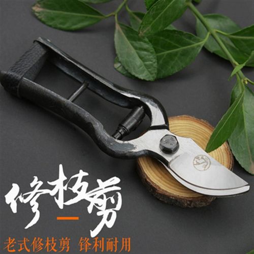 望儿山修枝剪果树剪刀园艺省力粗枝剪修树枝园林工具花艺省力剪子