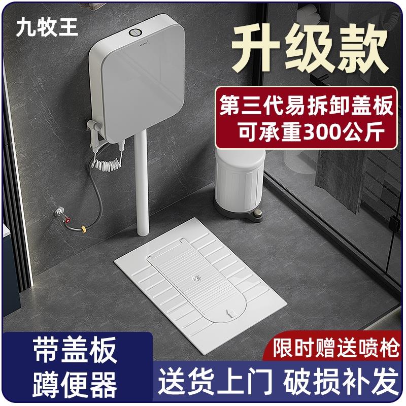 带盖板子蹲便器一体翻盖式隐形蹲便器水箱套装蹲坑式防臭大便池盆