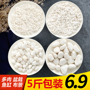 5斤天然小白石鹅卵石七彩石花盆鱼缸盆景造景假山装饰白色小石头