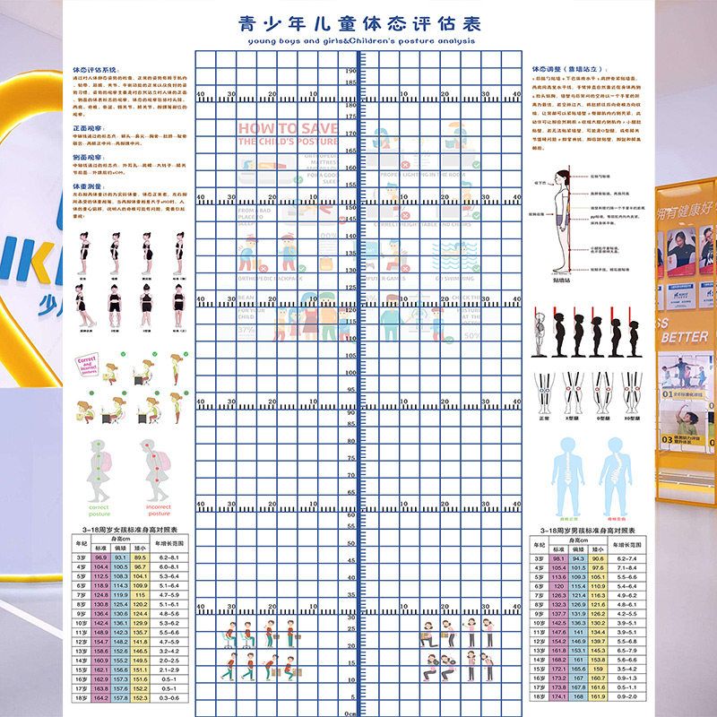 青少年体态评估表儿童体适能舞蹈模特跆拳道身高体测图矫正表墙贴,家装主材,定制壁画,淘宝优惠券,粉丝福利购,淘宝优惠卷