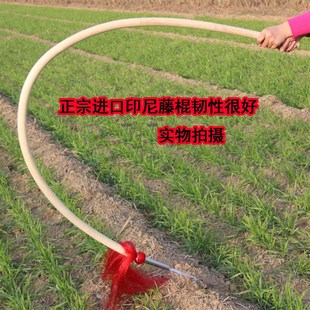 印尼藤棍枪杆铁枪头 专业表演武术长枪金枪刺喉表演用红缨枪