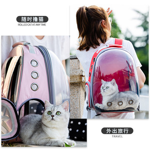 猫包狗背包猫背包宠物背包v大容量透气透明宠物双肩外出便携包纯