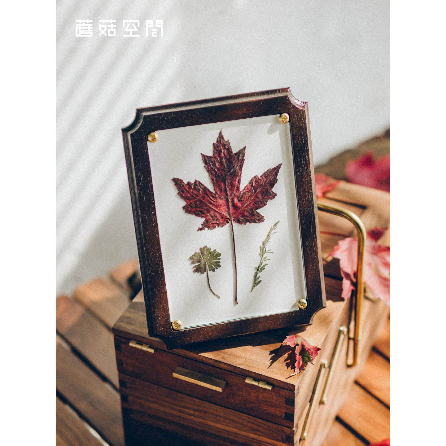 蘑菇空间植物标本夹押花器压花板植物标本制作干燥板覆古实木相框