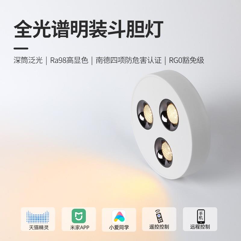 led明装筒灯斗胆灯客厅无主灯照明长条过道吸顶灯卧室盒仔灯射灯