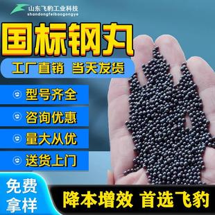 国标钢丸钢砂钢丝切丸不锈钢丸抛丸机钢丸抛丸喷砂合金强化铸钢丸