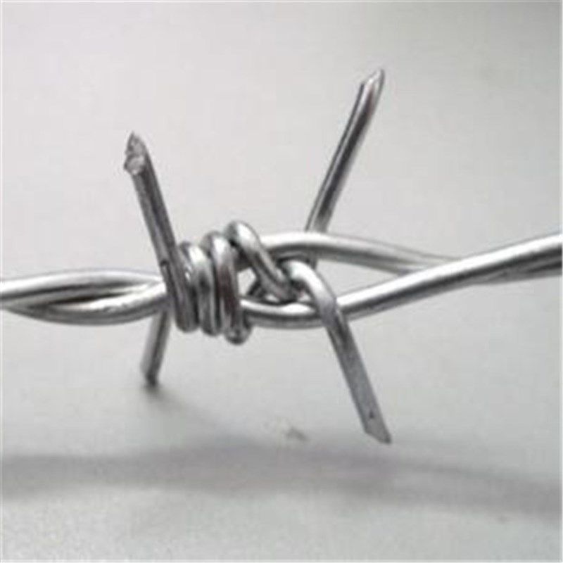 安平厂家热镀锌刺绳刺网刺铁丝防盗网铁蒺藜防护网不生锈,五金/工具,护栏/隔离栏,淘宝优惠券,粉丝福利购,淘宝优惠卷