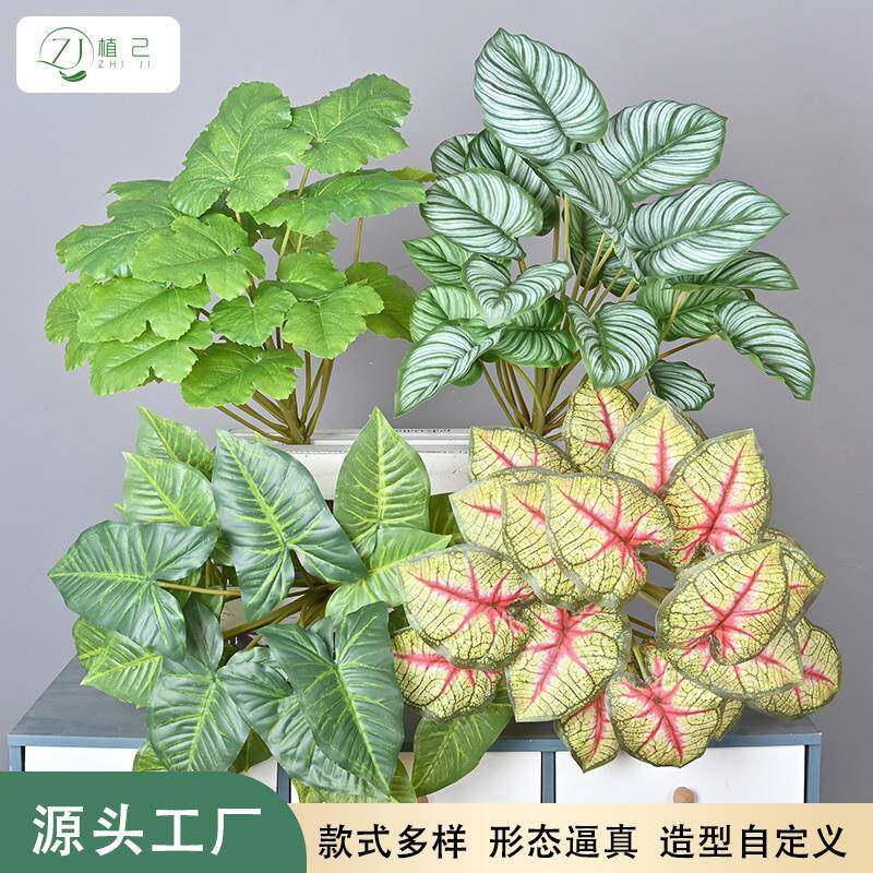 仿真植物大把束苹果叶绿菱角野芋室内家居植物墙装饰造景叶子矾根