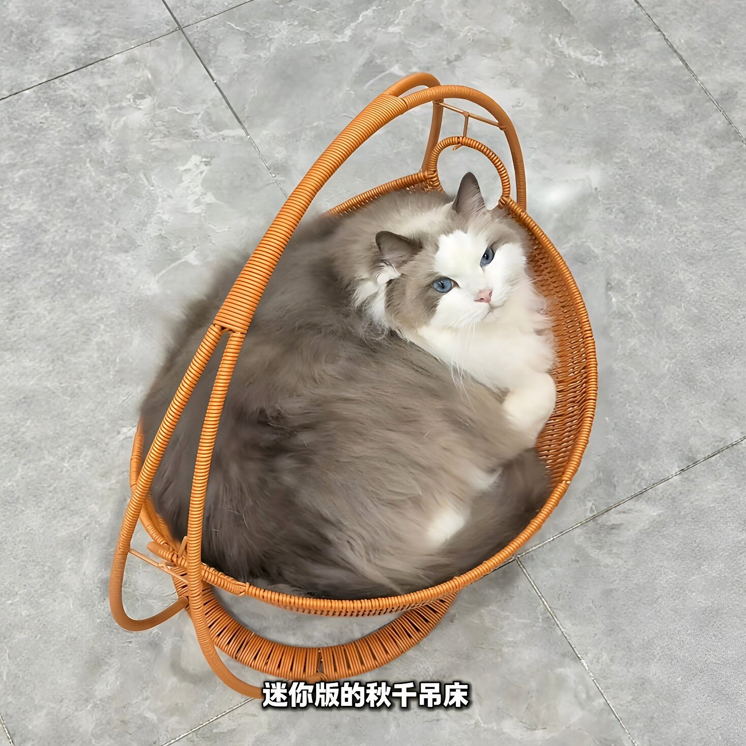 水果篮猫窝！仿藤编摇篮猫窝夏季避暑宠物吊床手工编织猫咪摇摇椅