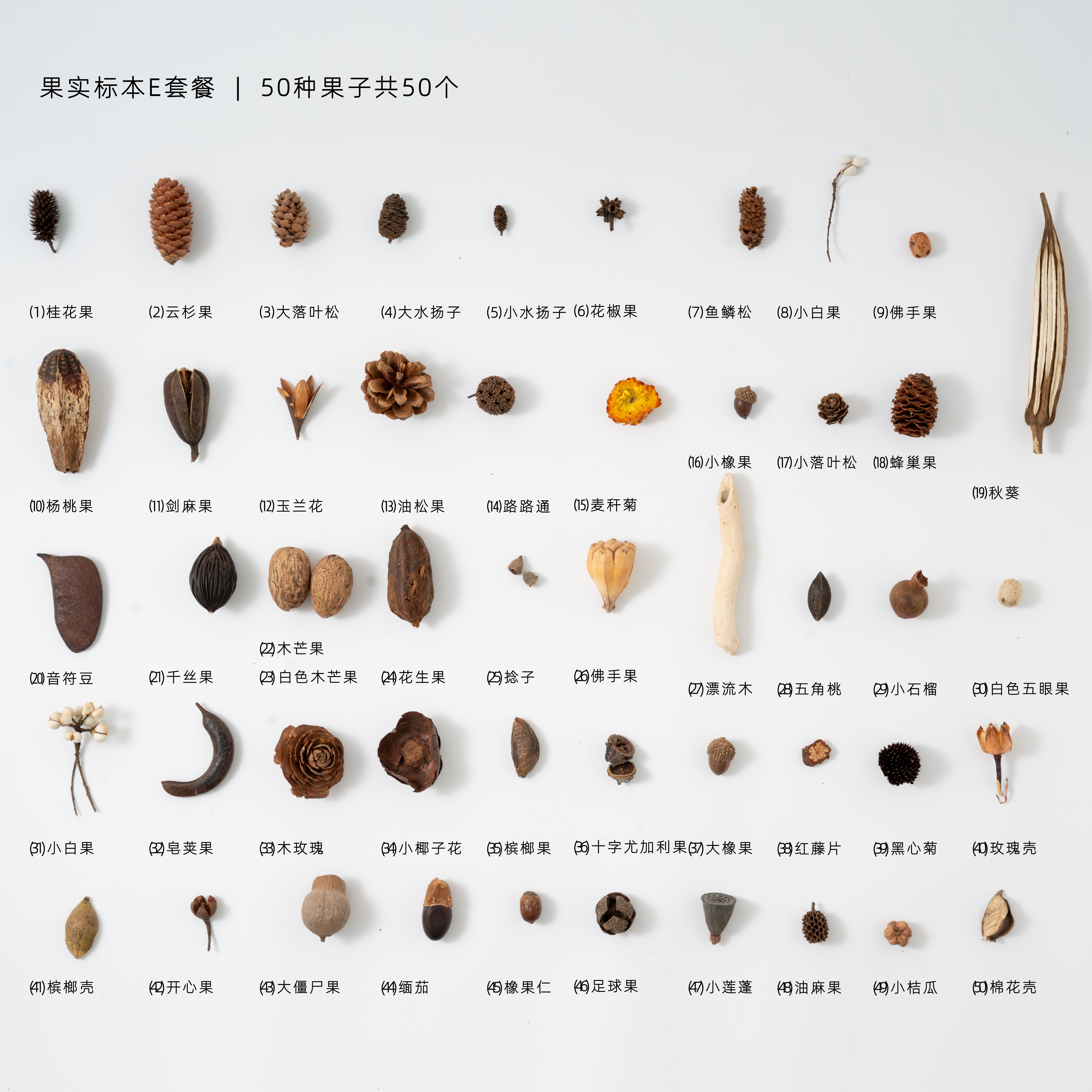 圣诞节干果diy材料包干花装饰棉花橡果松果树枝树创意幼儿园手工