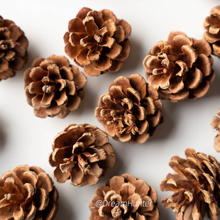 油松果圣诞装饰摆件幼儿园DIY手工材料干花道具松果松塔挂件