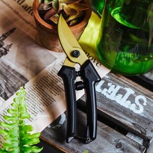 暮藉修枝剪刀园艺园林花剪修枝剪修剪采摘专用强力剪果树修剪树枝