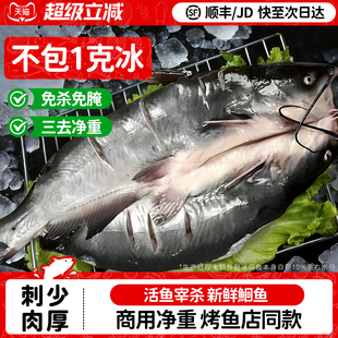 弹指鲜生三去开背免处理叉尾鮰鱼清江鱼淡水鱼江团鱼烤鱼商用烧烤