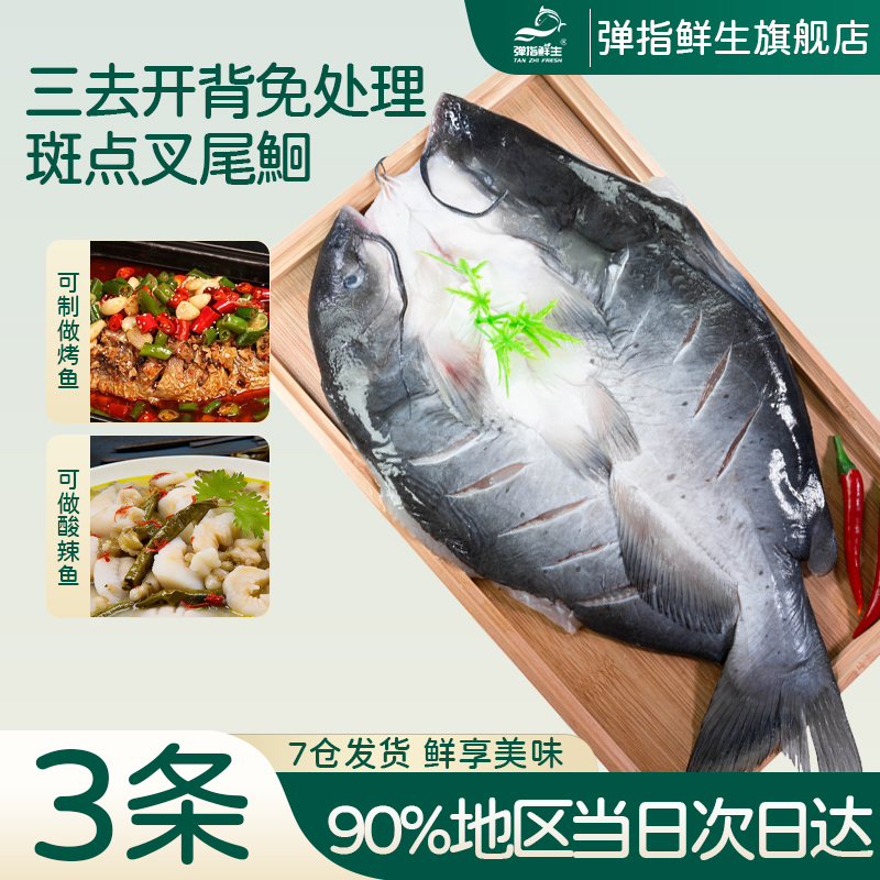 弹指鲜生三去开背免处理叉尾鮰鱼清江鱼淡水鱼江团鱼烤鱼商用烧烤