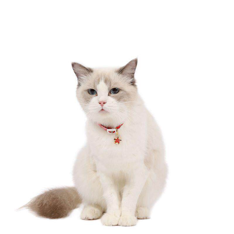 和风可调节宠物花朵镂空铃铛项圈猫咪犬颈圈狗兔子中国风配饰可爱