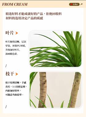 彷客真绿植龙血树生厅件大型盆栽室FGT内轻奢装饰花彷植物落地摆