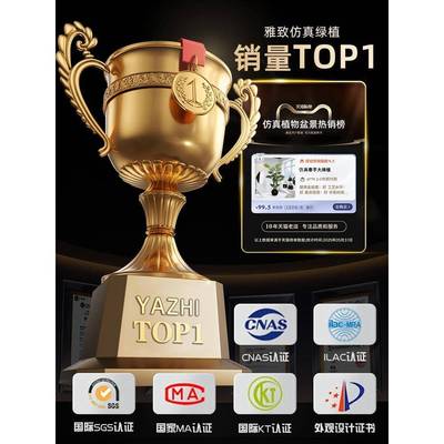 彷大真绿植高端轻奢春假羽盆栽型彷生植物室内客2025612厅落地装