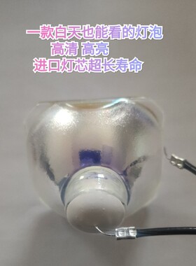 适用爱普生EB-C1010XN/C1020XN/C2000X/C2080XN/C210投影机灯泡