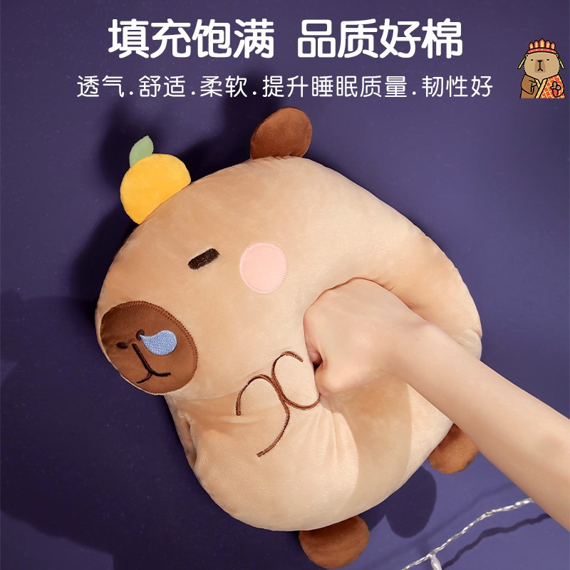 可爱水豚暖手抱枕被子两用办公室空调毯二合一汽车车载靠枕睡觉