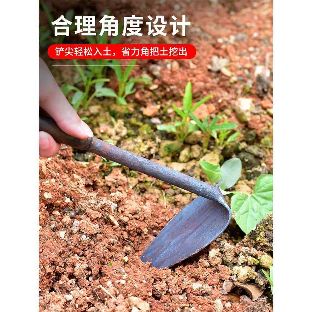 全钢小锄头家用种菜种工具小型锄头挖地农用种地农具挖土,家庭/个人清洁工具,地刮,淘宝优惠券,粉丝福利购,淘宝优惠卷