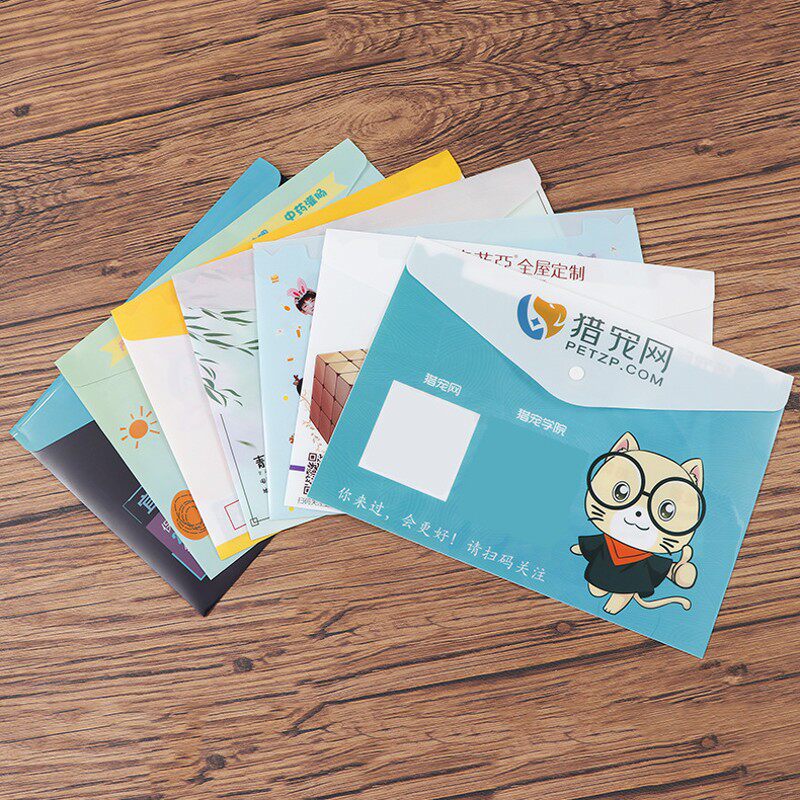 定制PP塑料信封pvc印刷9号按扣半透明档案文件袋资料文件包订做公