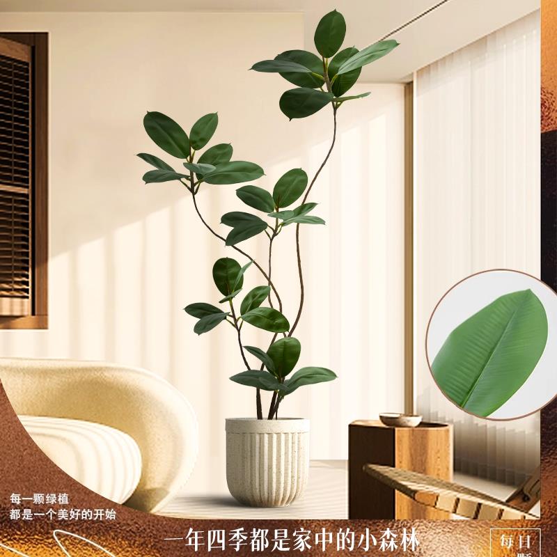 大型客橡皮树20厅落仿地摆件室内沙发装旁黑饰摆件假绿植金刚橡皮