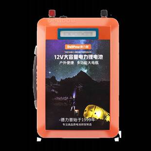 德力普12v锂电池电瓶大容充电器磷酸铁锂大功率24伏户外行动电源