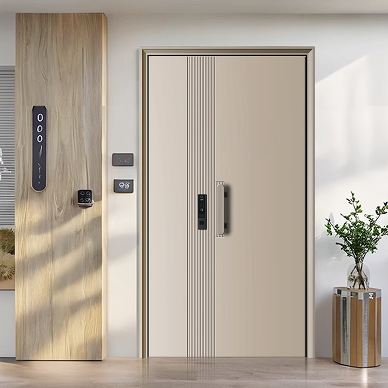 入户门防盗门子母门甲级