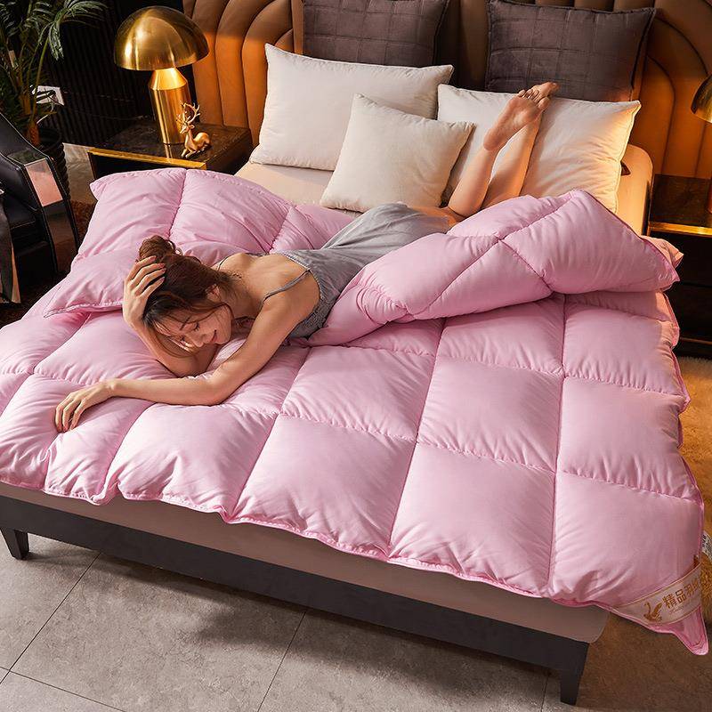 加厚磨毛羽丝绒棉被子冬被春秋被芯被子羽丝棉被礼品被