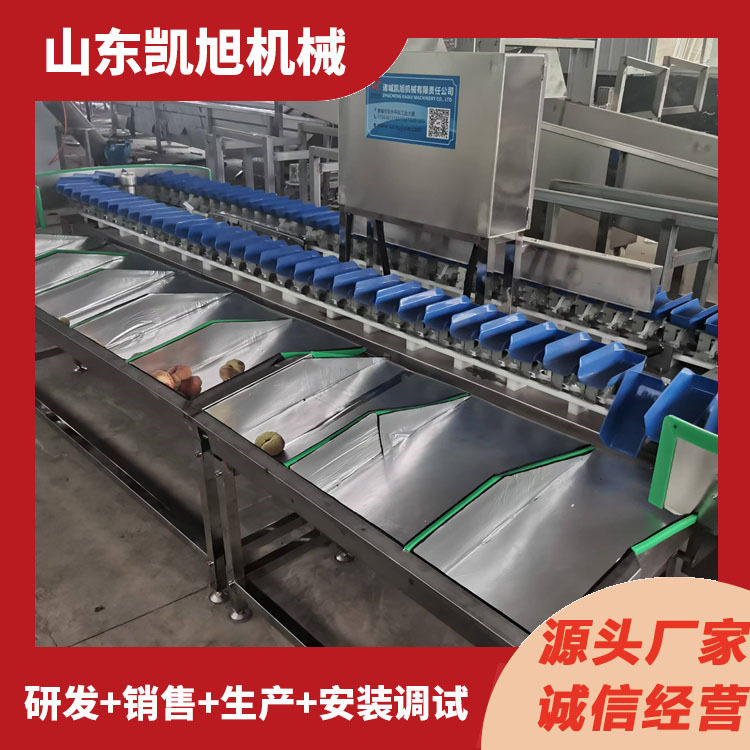 蟠桃油桃自动翻盘式分级机西红柿全自动称重分选机重量选别机