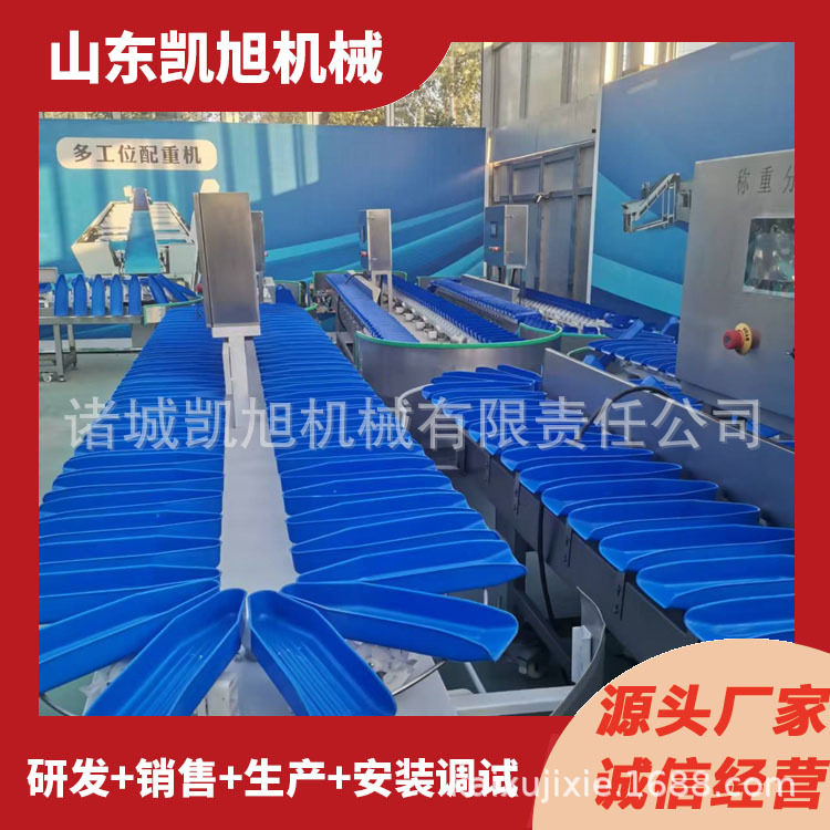 鸡腿重量分选机各种肉类称重分级机鸡翅鸡脚全自动重量分拣机