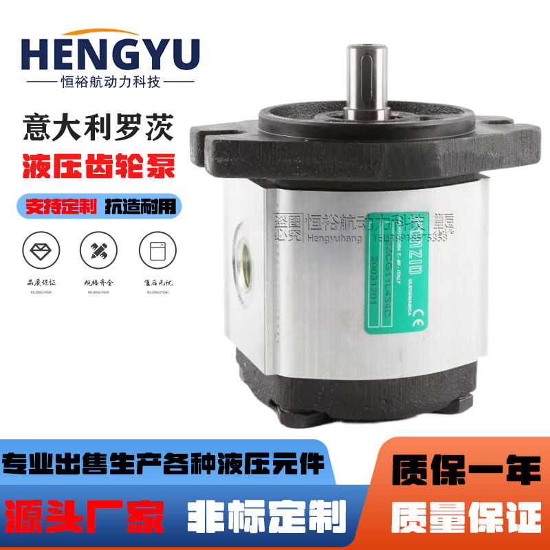 罗茨液压泵RONZIO齿轮泵02ZAG08CD032D 02ZCG17S438高压 压力油泵