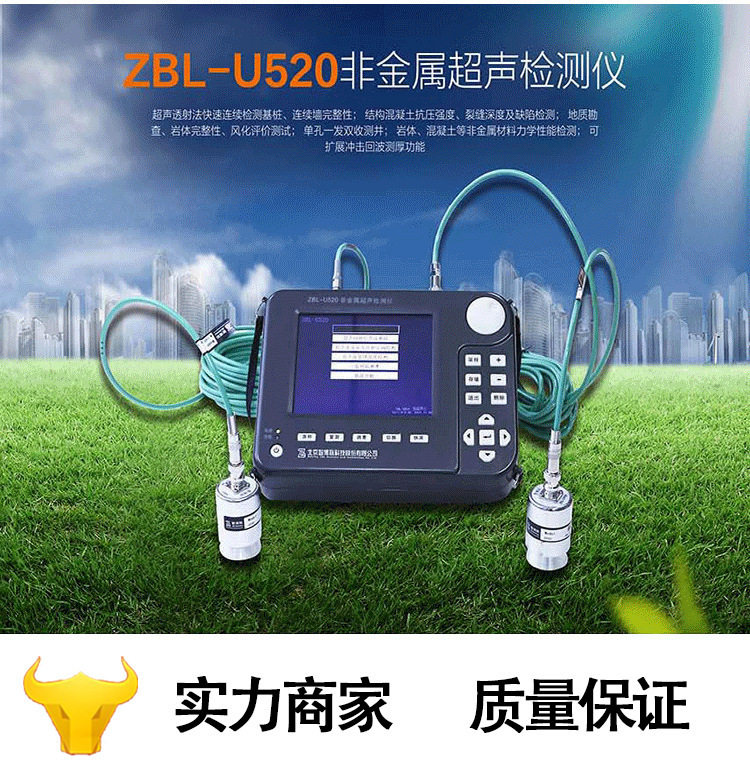 ZBL-U520非金属超声检测仪基桩、连续墙完整性检测仪裂缝测试仪
